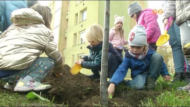 sszesen hetven ft ltettek ma el Szombathelyen a VrosFa program keretben