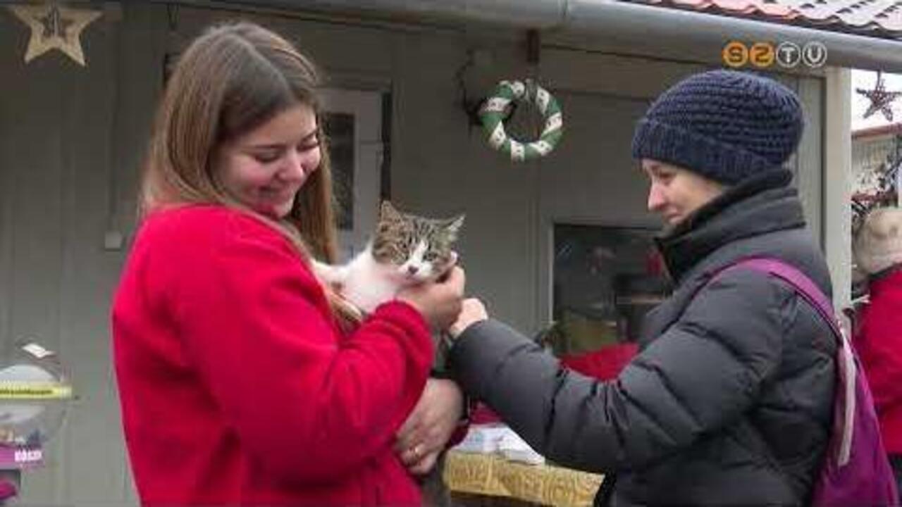 Sokan adományoztak a Fekete István Állatvédő Egyesület idei Angyalkaváró programján Sokan adományoztak a Fekete István Állatvédő Egyesület idei Angyalkaváró programján