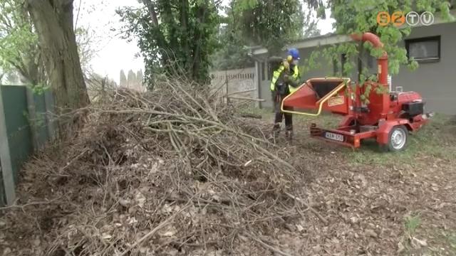 Eltvoltottk a felhalmozott zldhulladkot a hernyi temet melll