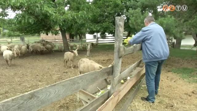 jra ltogathat a Vasi Skanzen