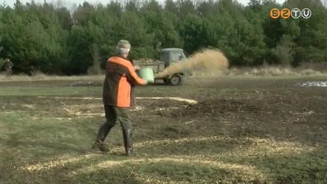 A kemny hideg s a htakar miatt az eddigieknl is gyakrabban etetik a vadakat a vadsztrsasgok