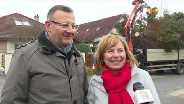 Helyére került a város karácsonyfája a Fő téren