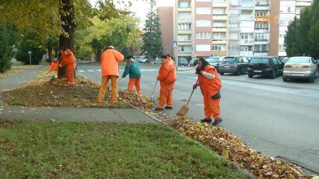 A lehullott lombot takartottk el a Pzmny Pter krton