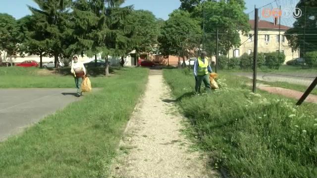 A FHE munkatrsai szedtk a szemetet a Gayer-parkban