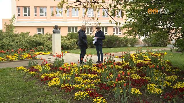 j szemllet szerint ltetik be a virggysokat a vrosban