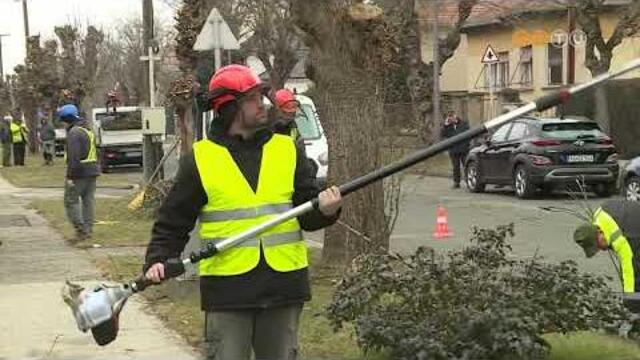 Több, mint 3500 fáról gondoskodik a Szombathelyi Parkfenntartási Kft. a téli metszési időszakban Több, mint 3500 fáról gondoskodik a Szombathelyi Parkfenntartási Kft. a téli metszési időszakban