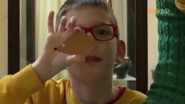 Süni napot tartottak a Smidt Múzeumban Süni napot tartottak a Smidt Múzeumban