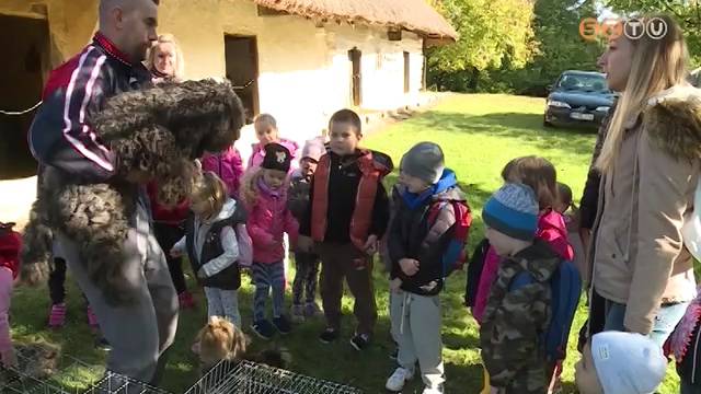 llatok vilgnapja a Vasi Skanzenben