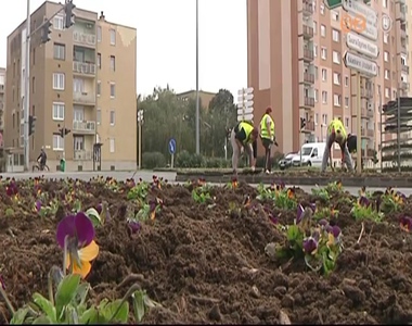 Megkezdte az szi munkkat a SZOMPARK