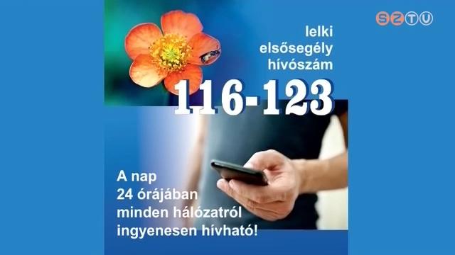 nkntes gyelk jelentkezst vrja a Lelki Elssegly Telefonszolglat