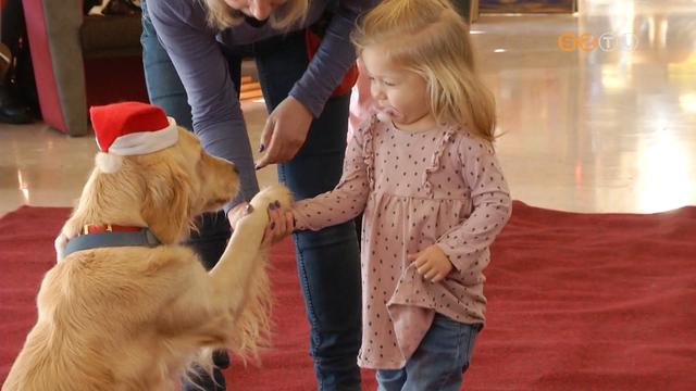 Hagyomnyteremt adventi htvgt tartott az MMIK