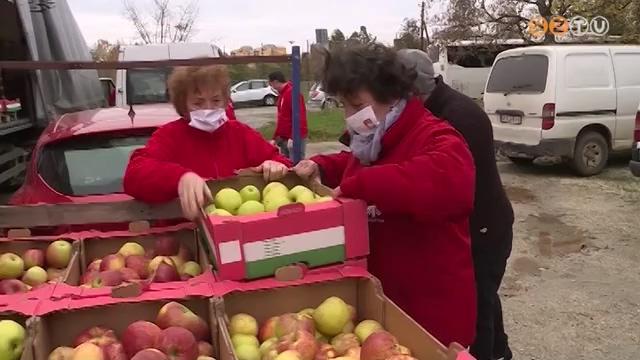 Kzel 10 tonna almt oszt szt a Szombathelyi Egyhzmegyei Karitsz Vas s Zala megyei rszorulknak