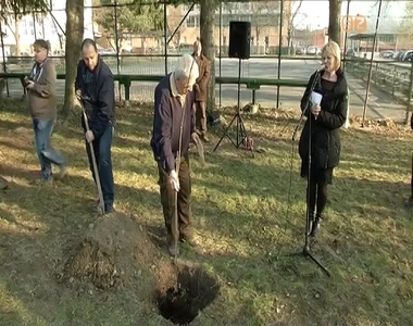 Ft ltettek az angoltanrok az egyetem kertjben