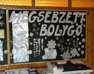 Megsebzett bolyg