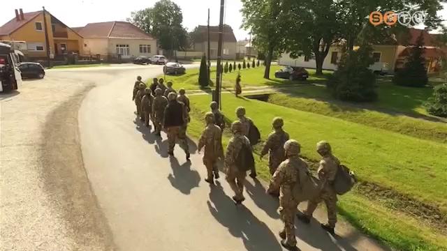 nkntes tartalkosokat toboroznak