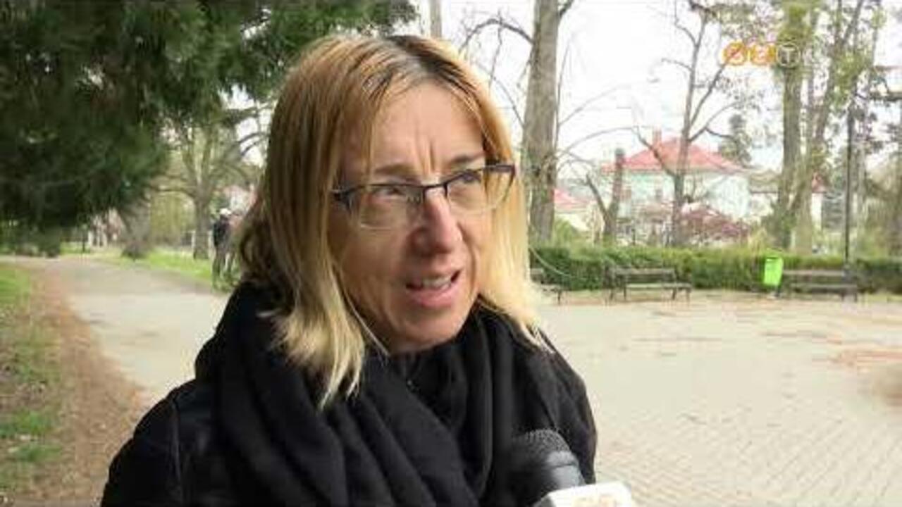 Csaknem húszan szorgoskodtak a Szent István Parkban Csaknem húszan szorgoskodtak a Szent István Parkban